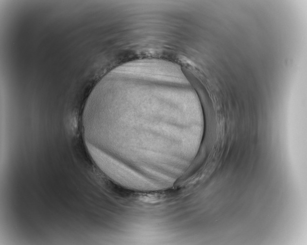 X0000088730709200706212039