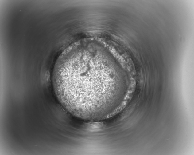 X0000088730711200706212039