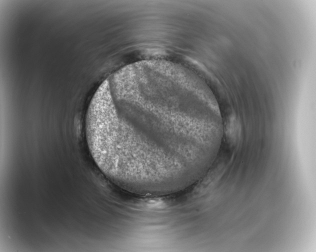 X0000088730715200706212039