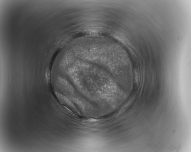 X0000088730718200706212039