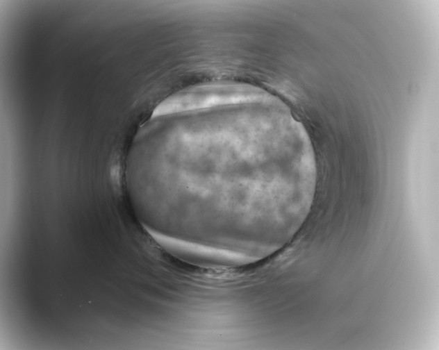 X0000088730720200706212039