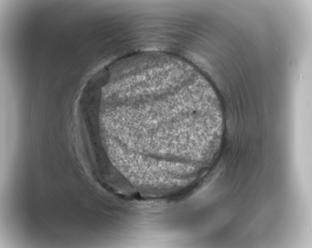 X0000088730721200706212038