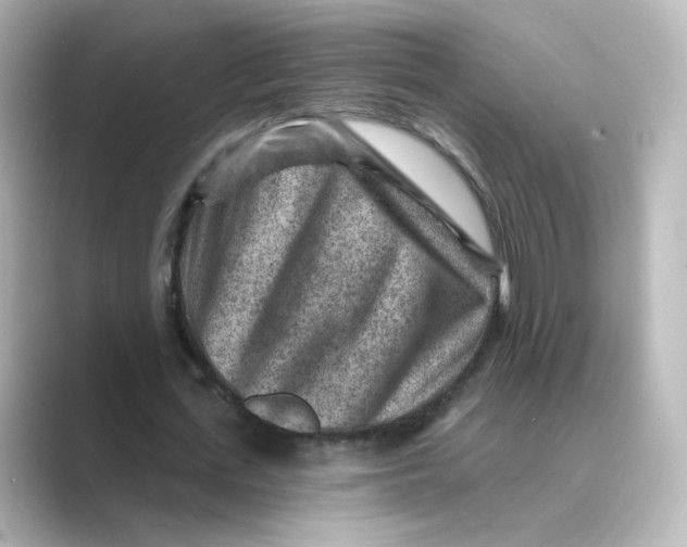 X0000088730723200706212038