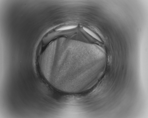 X0000088730724200706212038