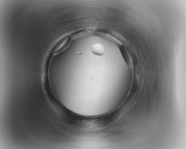 X0000088730728200706212038