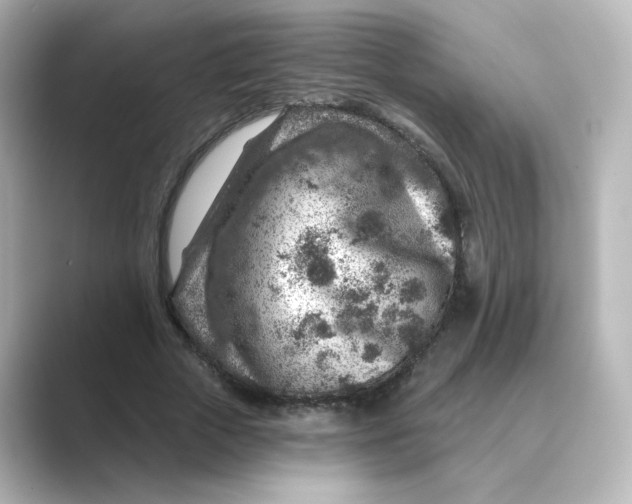 X0000088730729200706212038