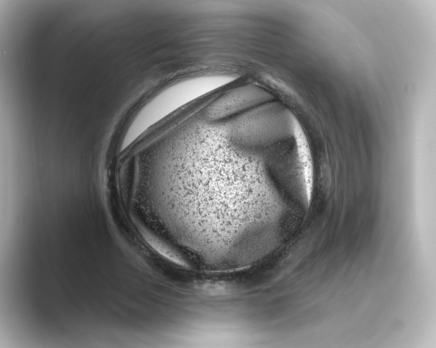 X0000088730730200706212038