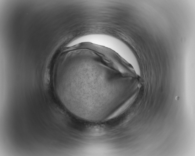 X0000088730731200706212038