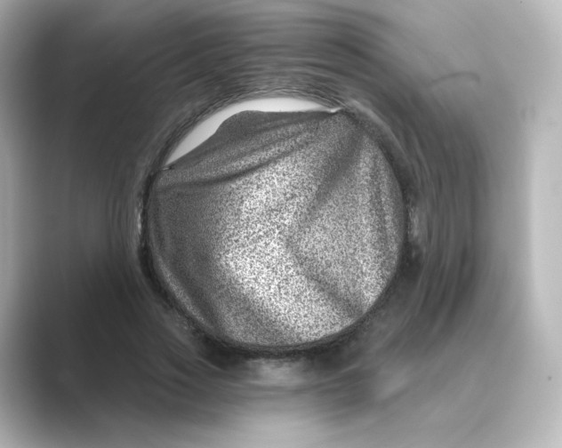 X0000088730733200706212038