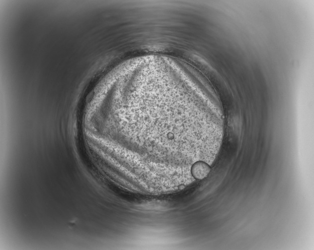 X0000088730734200706212038