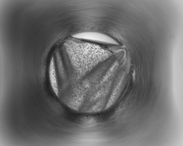 X0000088730735200706212038