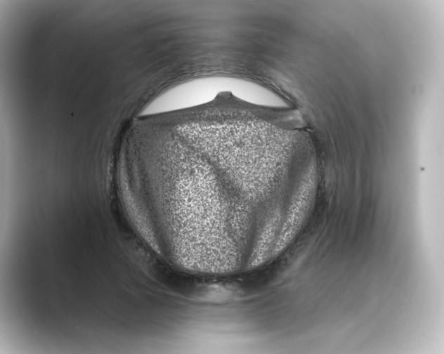 X0000088730737200706212038