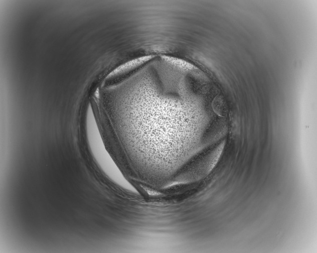 X0000088730738200706212038