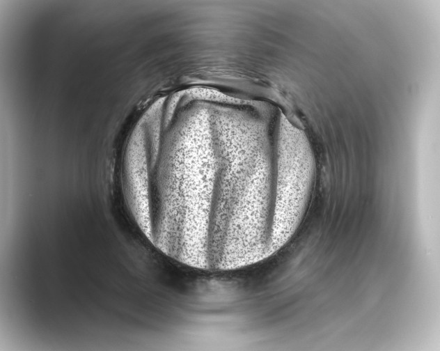 X0000088730739200706212038