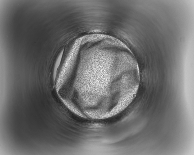 X0000088730741200706212038