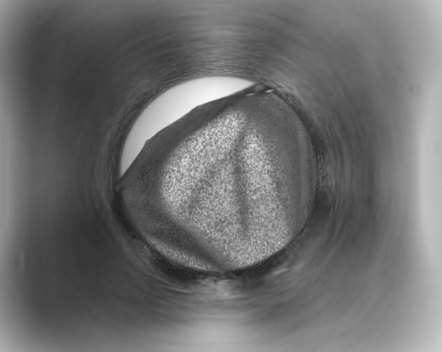 X0000088730742200706212038