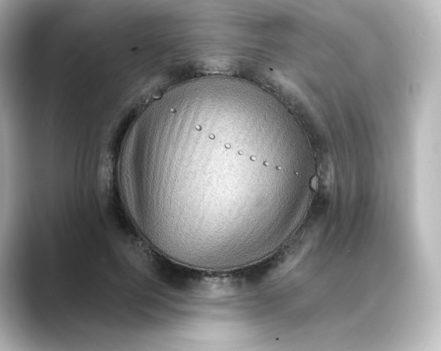 X0000088730744200706212038