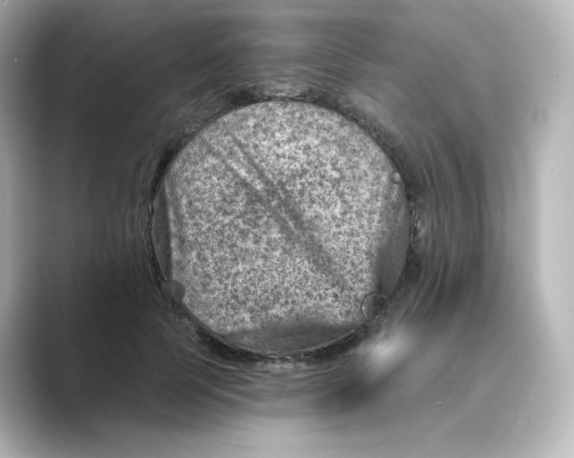 X0000088730745200706212038