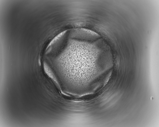 X0000088730746200706212038