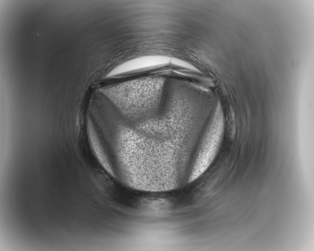 X0000088730747200706212038