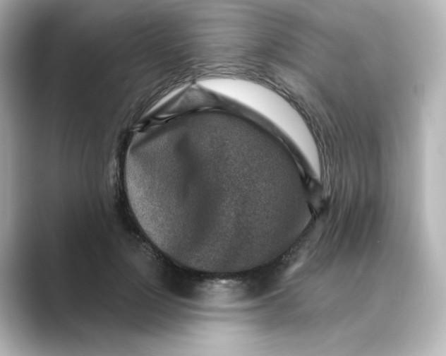 X0000088730748200706212038