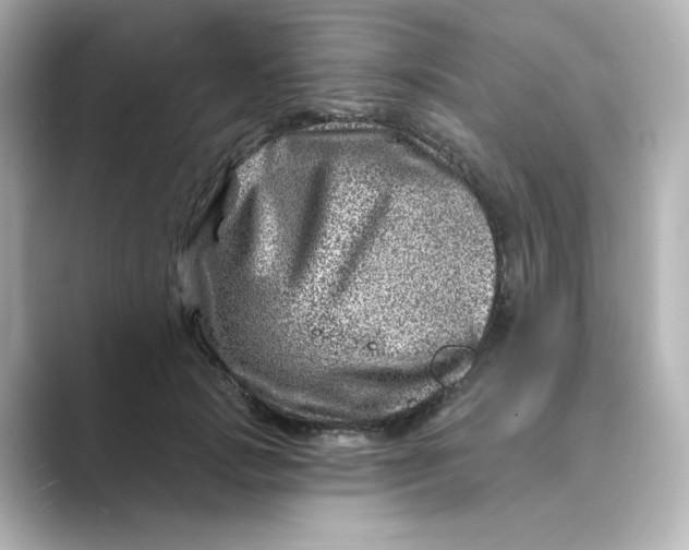 X0000088730749200706212038