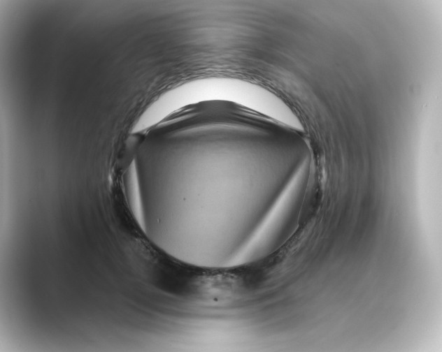 X0000088730752200706212039