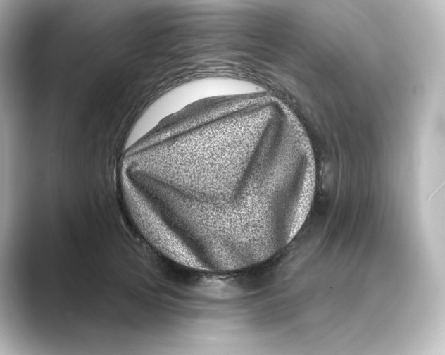 X0000088730753200706212039