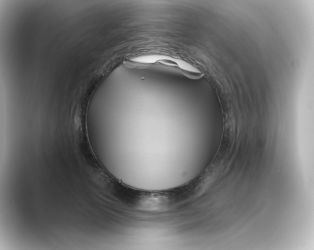 X0000088730754200706212039