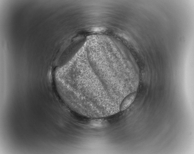 X0000088730757200706212039