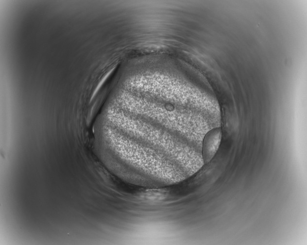 X0000088730758200706212039