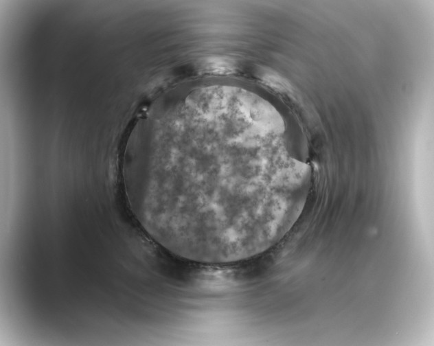 X0000088730760200706212039