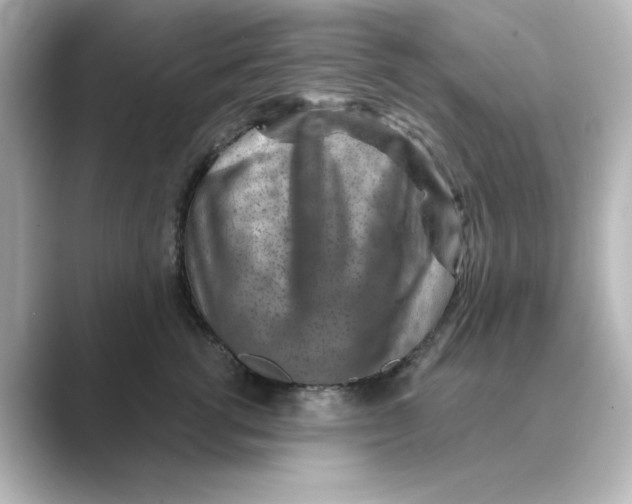 X0000088730762200706212039