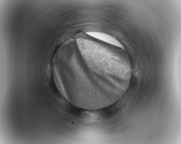 X0000088730763200706212039