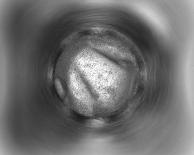 X0000088730765200706212039