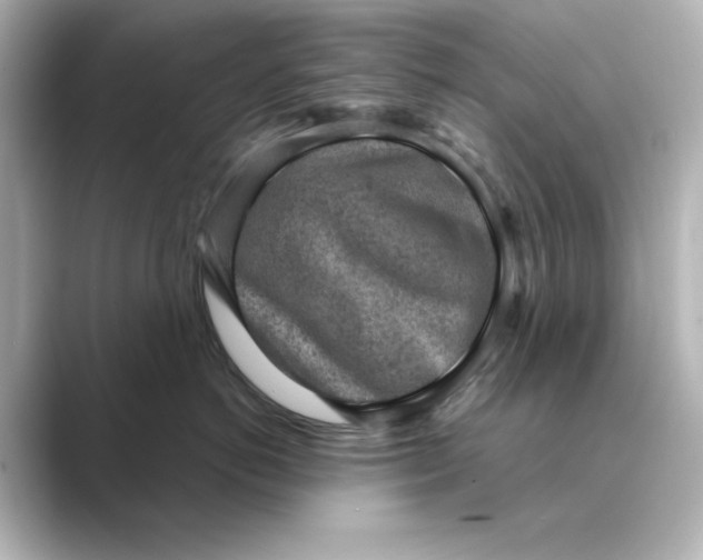 X0000088730766200706212039