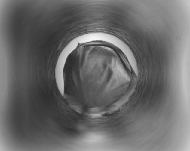 X0000088730767200706212039