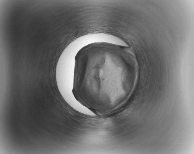 X0000088730768200706212039