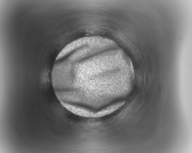 X0000088730770200706212038