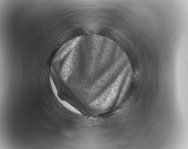 X0000088730772200706212038