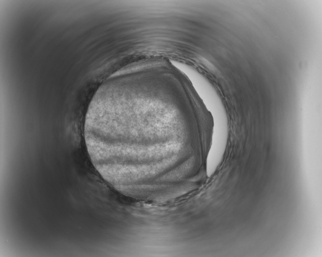 X0000088730774200706212038