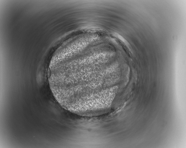 X0000088730775200706212038