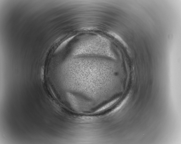 X0000088730777200706212038