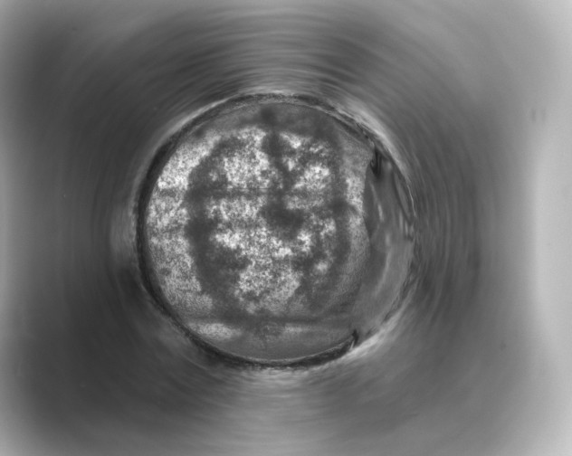 X0000088730779200706212038