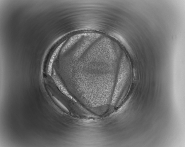 X0000088730780200706212038