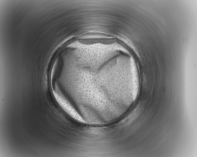 X0000088730782200706212038