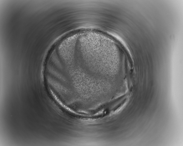 X0000088730783200706212038