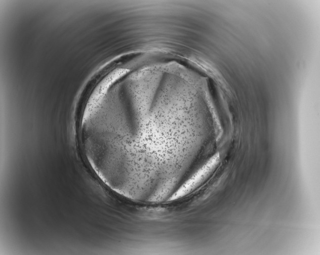 X0000088730784200706212038