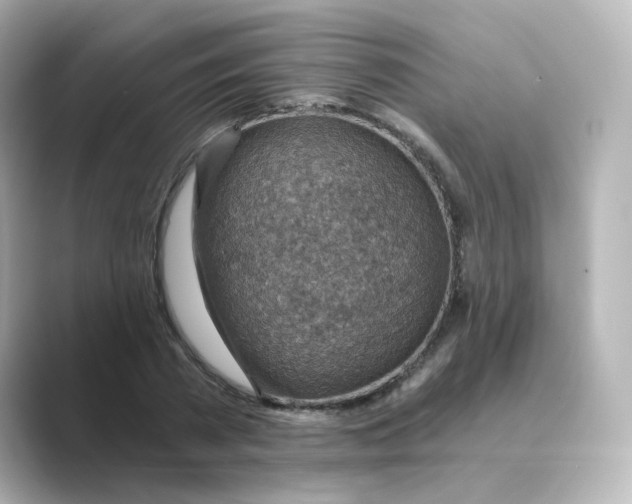 X0000088730785200706212038