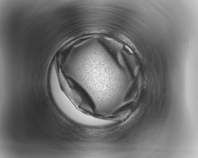 X0000088730786200706212038